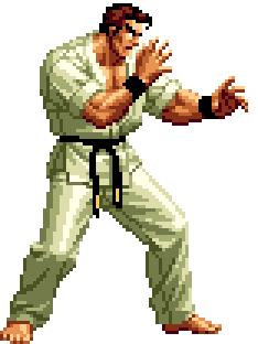 Ryu, Wiki