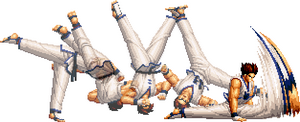 KOF94 Kim 214B.png