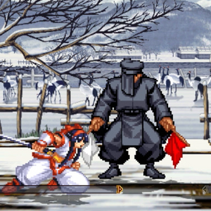 SSVI Nakoruru S12.png